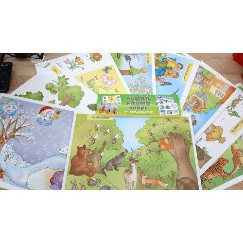 Planșe - Floră, Faună, Ecologie... (cele 4 anotimpuri, animale și plante...)