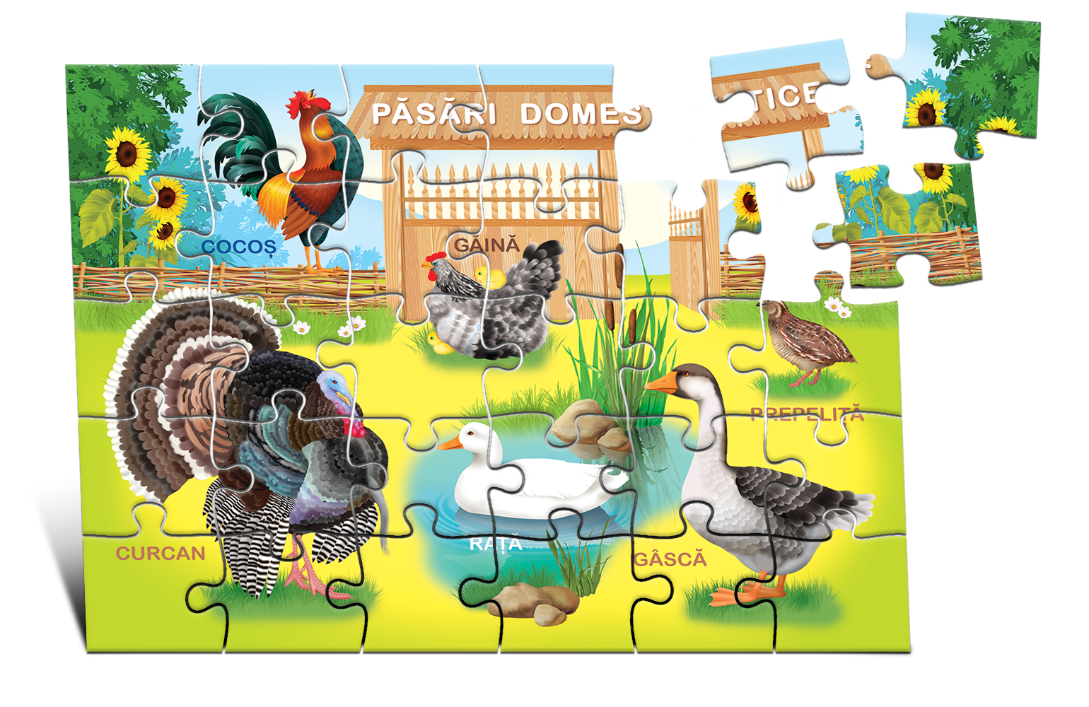 Puzzle - Păsări domestice 30ps.