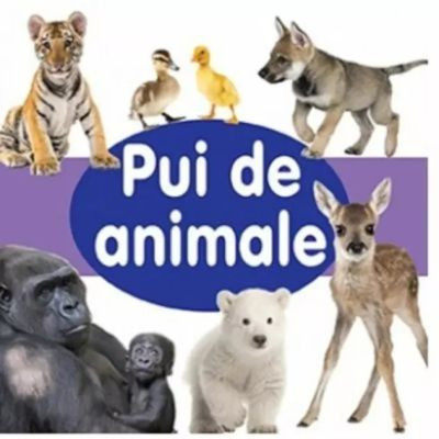 Pui de animale