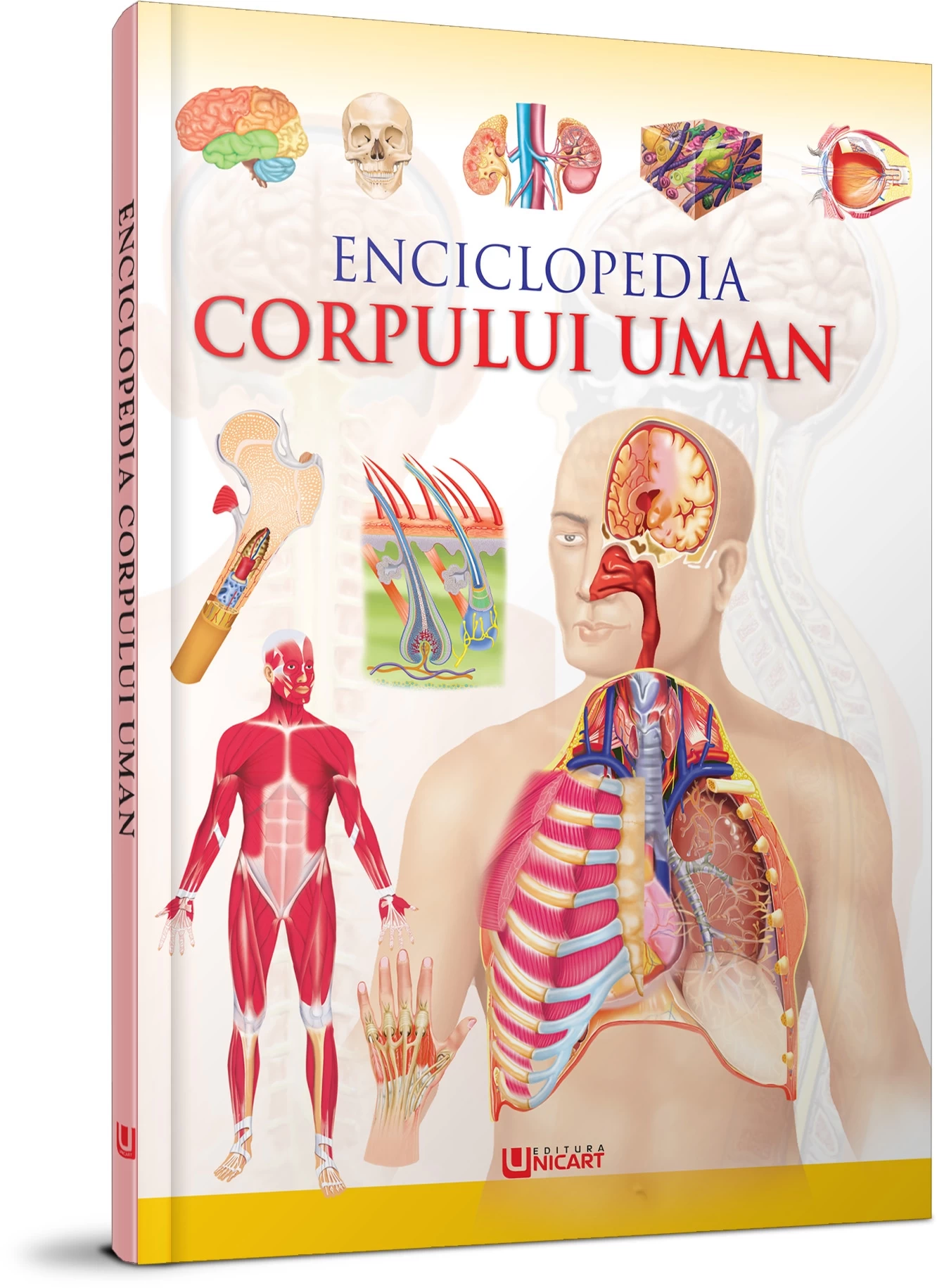 ENCICLOPEDIA CORPULUI UMAN