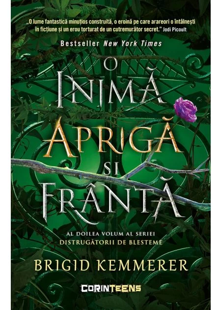 O inima apriga si franta - Distrugatorii de blesteme Vol.2