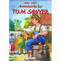 Aventurile lui Tom Sawyer